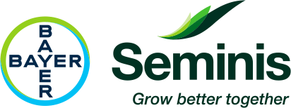 Семена Seminis