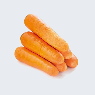 Морковь, сортотип шантенэ, гибриды